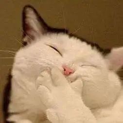 “粉”了“粉”了，这几家外卖吃一次就上头！